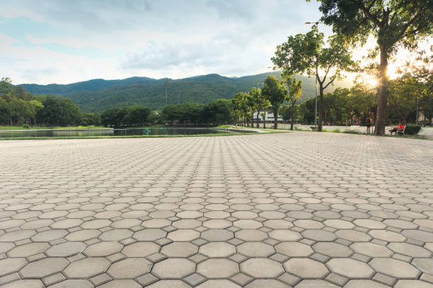 Professional Driveway Pavers in Henderson, NC